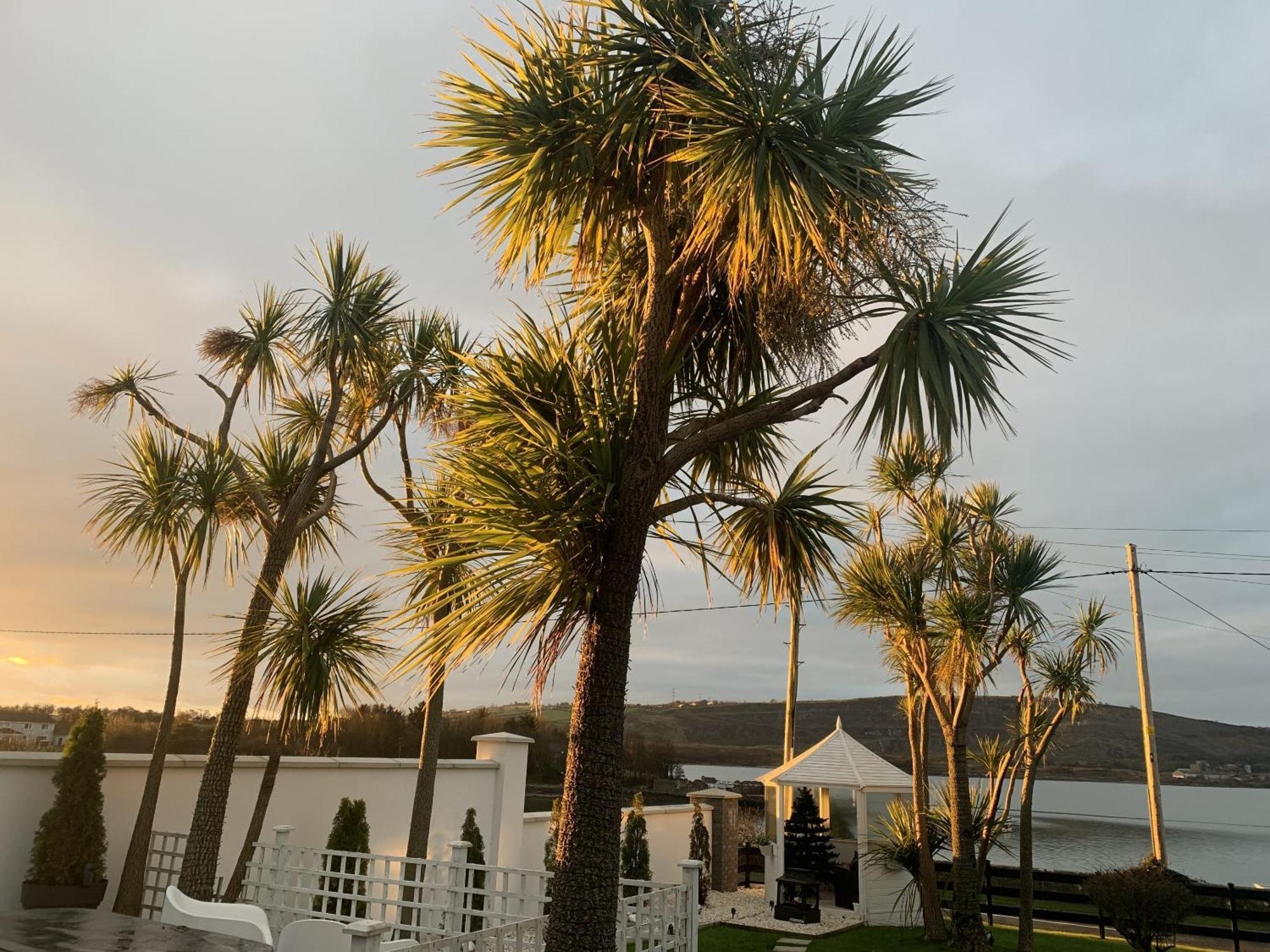 Millbay Seaview Cottage On The Island מראה חיצוני תמונה